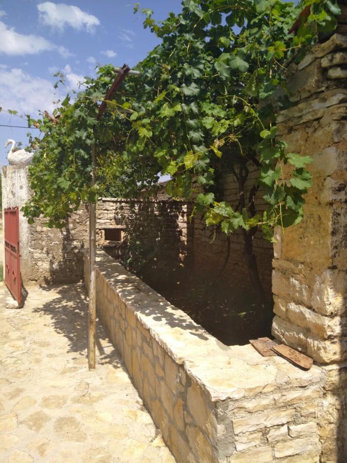 Viduka House Διαμέρισμα Pridraga Εξωτερικό φωτογραφία
